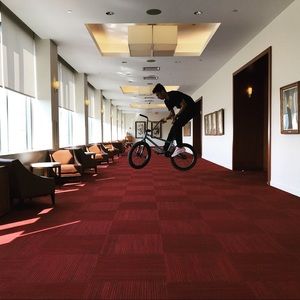 Meet your Posher, Roy